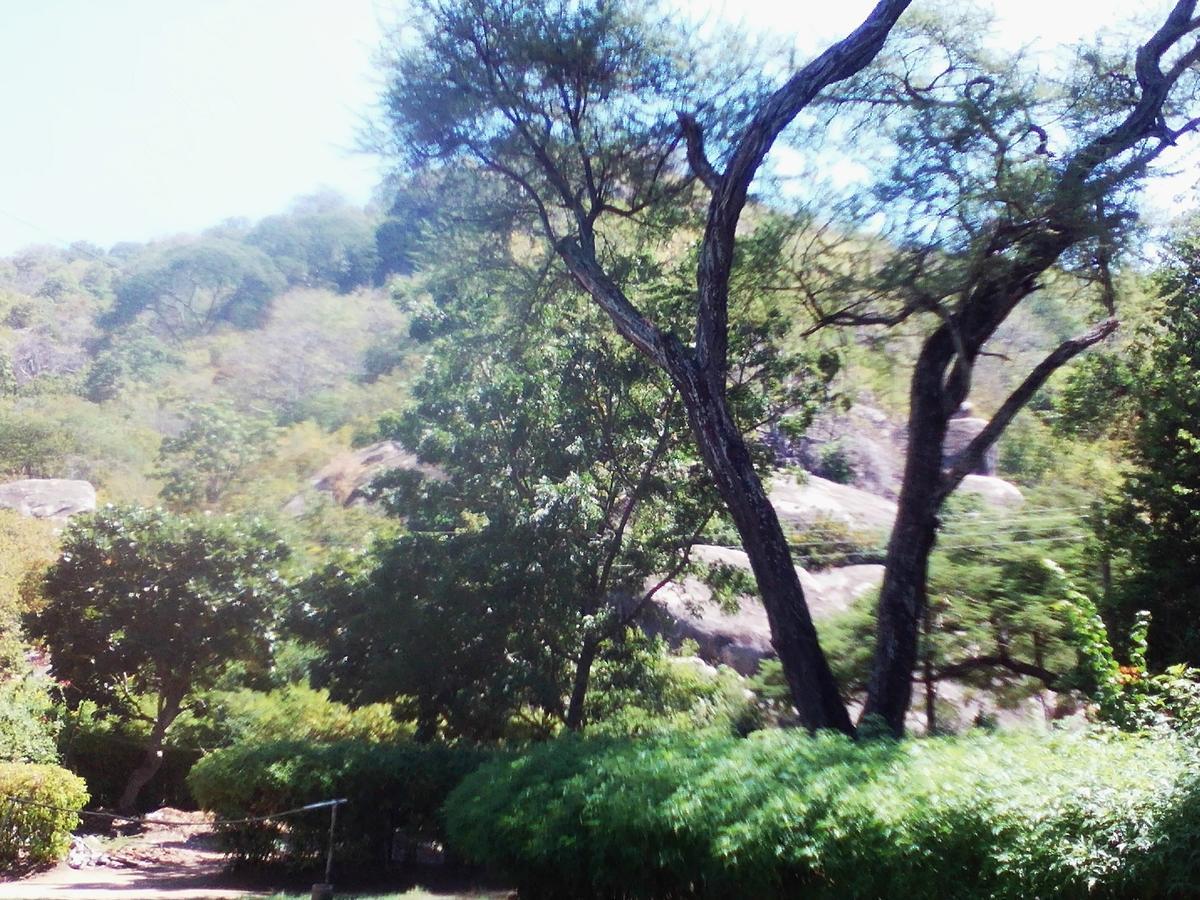 Nkhudzi Beach Lodge Nkudzi Exterior foto